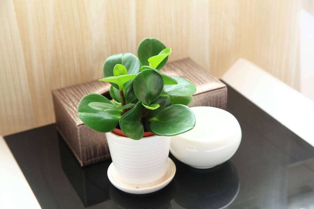 Shang Yuan Hotel Guangzhou Værelse billede